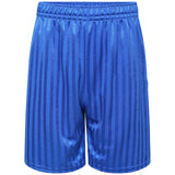 School Shadow Stripe Shorts Boys Girls Adult Football Gym Sports Short -Royal Blue Unisex PE